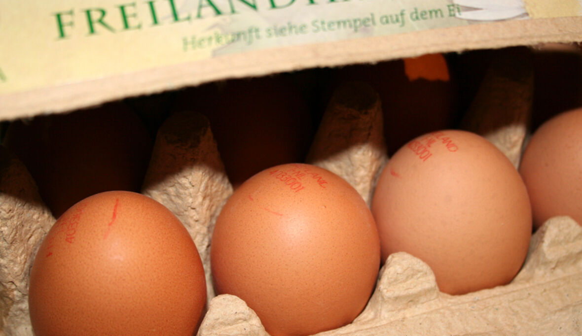  Nach Ostern: Tipps zum sinnvollen Umgang mit Eierschätzen
