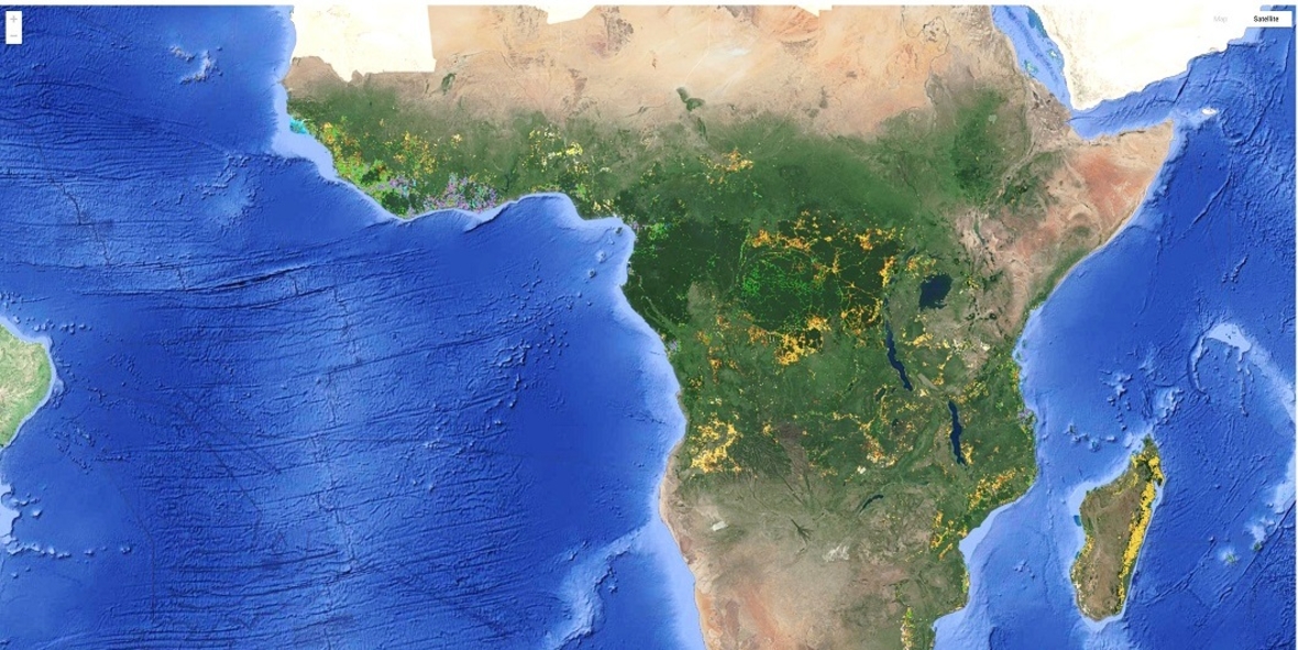 Wie werden entwaldete Landflächen in Afrika genutzt?