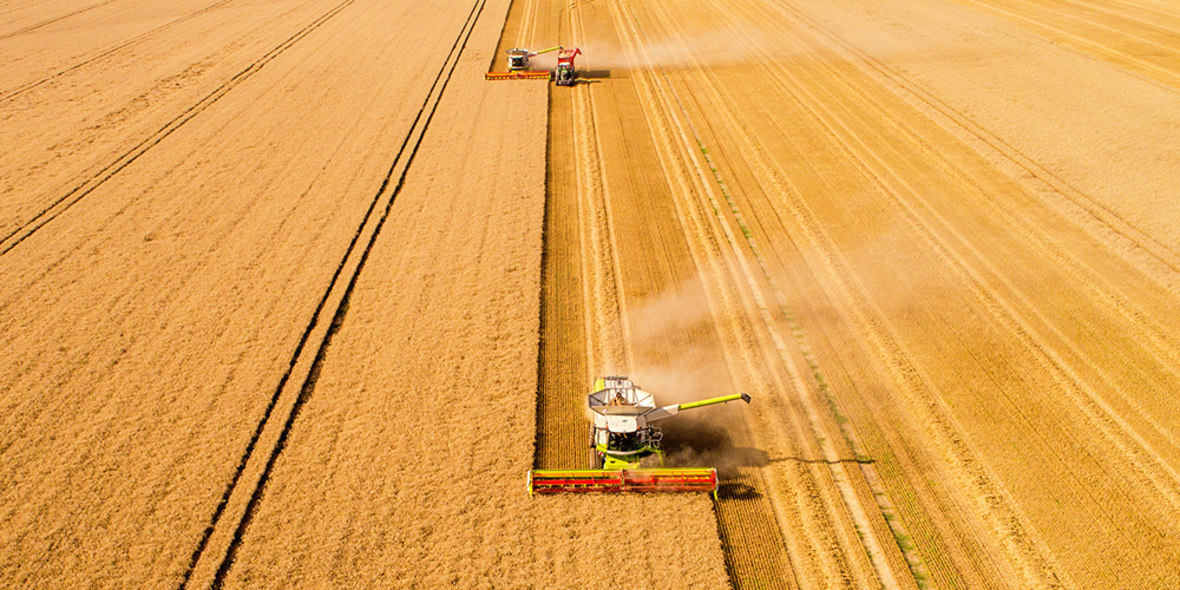 Gefährdet die Bayer-Monsanto-Fusion die Ernährungssouveränität?