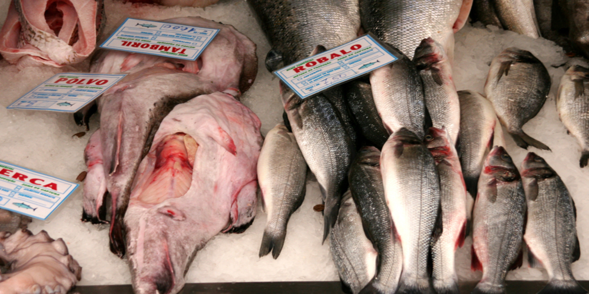 MSC-zertifizierte Fischer lobbyieren für Quotenkürzung