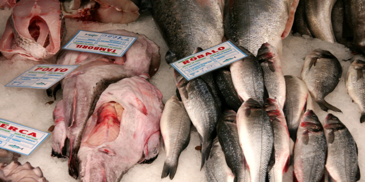 Fehlerhafte Etiketten bei Fisch