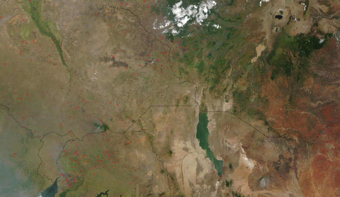 Wie ein besserer Zugang zu Satellitenbildern im Kampf gegen die Entwaldung hilft