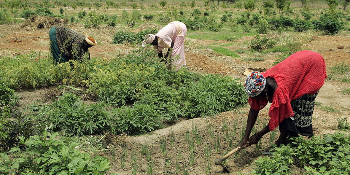 Kleinbauern in Afrika: Mechanisierung soll Einkommen steigern