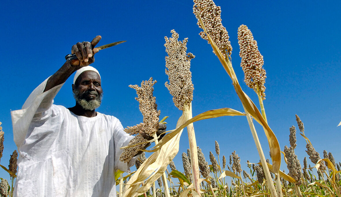 Landwirtschaft: mit besseren Einkommen die SDGs erreichen