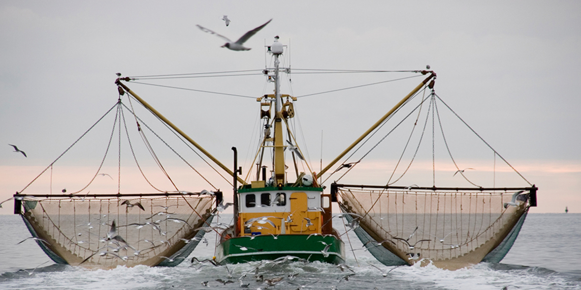 Seafood-Unternehmen verpflichten sich zum Schutz der Ozeane