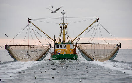 2021 erhielt dier Fischereisektor fast 327 Millionen Euro an Subventionen.