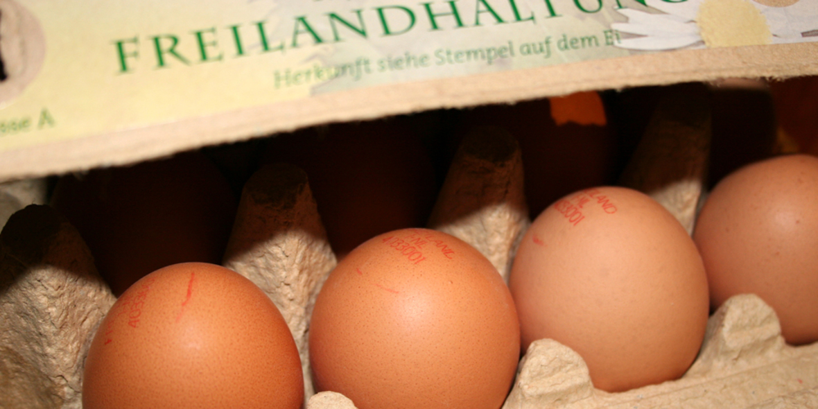 Eier aus Freilandhaltung - häufig eine Mogelpackung