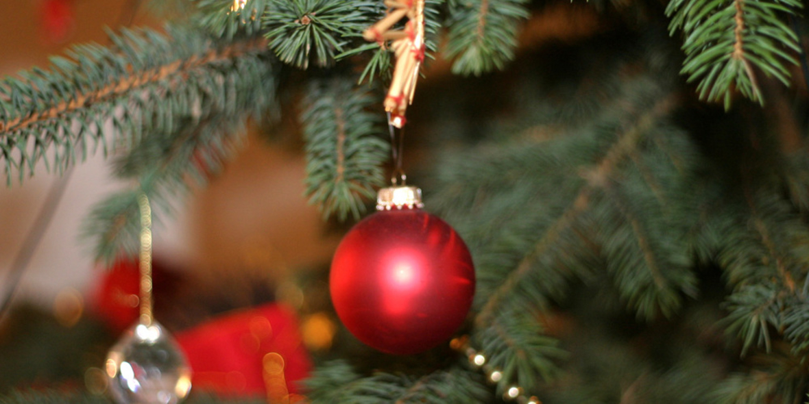 Jeder zweite Weihnachtsbaum mit Pestiziden belastet