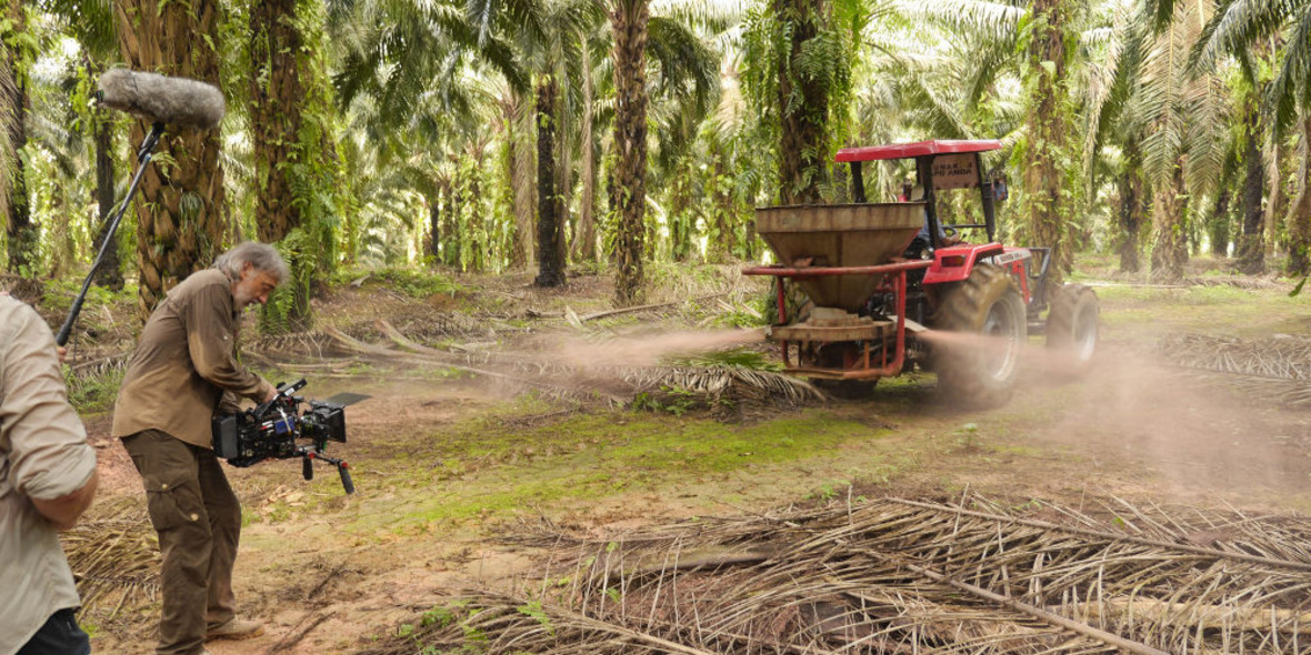 Dokumentarfilm über Kehrseite des Palmöl-Booms