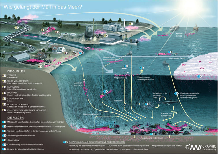 Infografik: Wie gelangt der Müll in das Meer?
