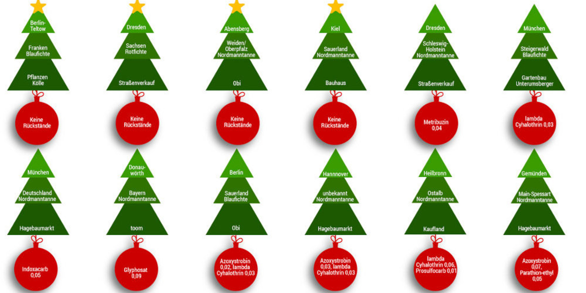 Weihnachtsbäume: 76 Prozent mit Pestiziden belastet