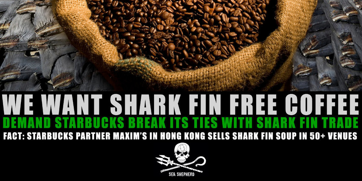 Kritik an Starbucks Haifischflossen-Kooperation 
