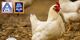 ALDI: Erste Hähnchenprodukte erfüllen Kriterien der EMI