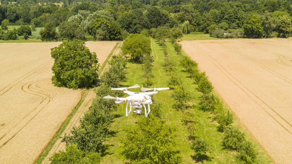 Drohnen fliegen regelmäßig über die Streuobstwiesen der Gemeinde Bad Schönborn.