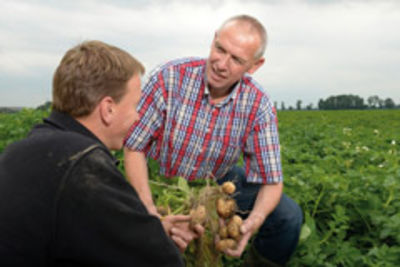 Zusammenarbeit für nachhaltigen Kartoffelanbau: Simon Jensma, Technischer Berater bei Bayer CropScience, gibt einem niederländischen Kartoffelproduzenten individuellen Rat.