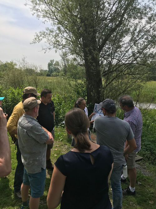 Biologin Elke Löpke erklärt der Wandergruppe um Manuel Andrack (ganz rechts außen) die Besonderheiten des Naturschutzgebietes Urdenbacher Kämpe.