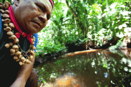 Emergildo Criollo, Anführer des indigenen Volkes der Cofanes, an einem durch die Ölförderung Texacons (heute Chevron) kontaminierten Fluß in der Nähe seines Hauses. Foto: Caroline Bennett/Rainforest Action Network/flickr.com