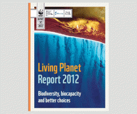 Cover des WWF "Living Planet Report 2012". (Screenshot vom PDF)