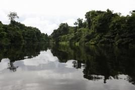 Bericht der Forest Footprint Disclosure (FFD), Auswirkungen von Produktionsaktivitäten auf Tropenwälder, Foto: Marion Lenzen