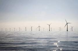 Offshore Windpark in Dänemark. Foto: E.ON