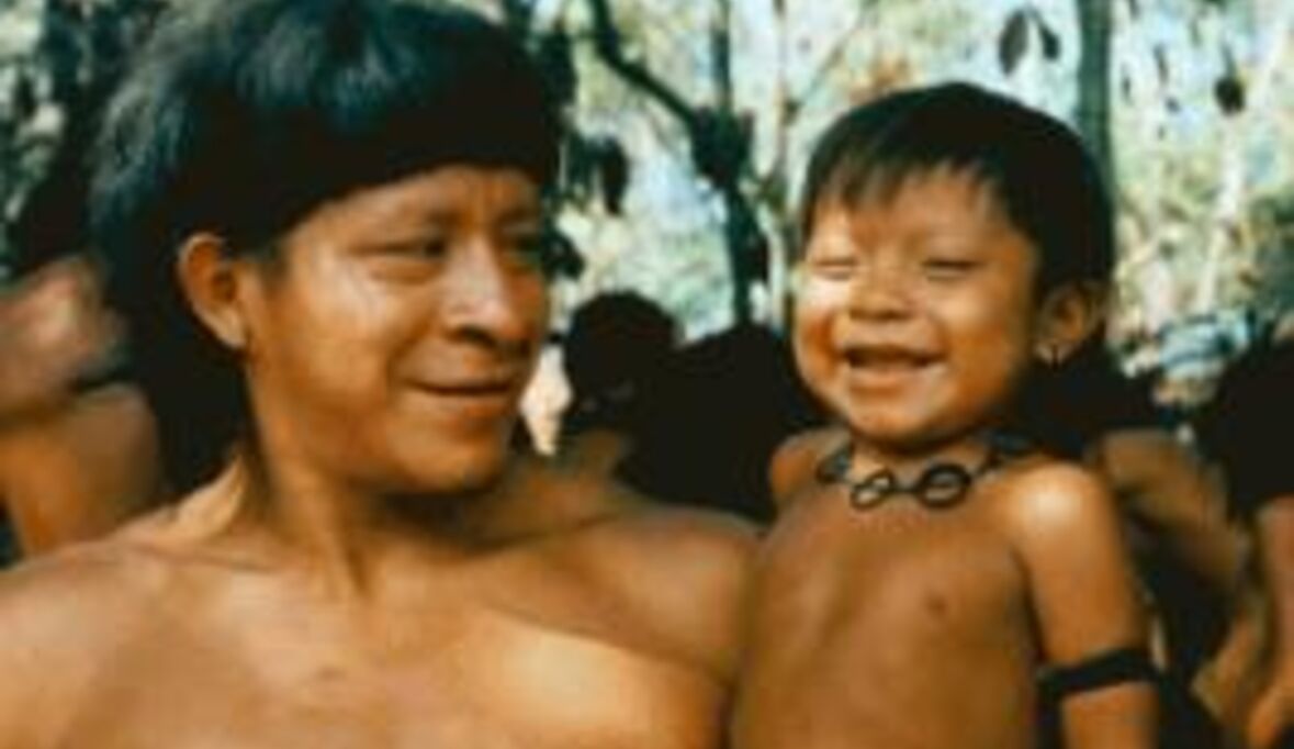 UN fordert sofortige Suspendierung von Amazonas-Gasprojekt