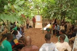 Schulung der Kakaofarmer an der Elfenbeinküste, Fotos (3): Nestlé