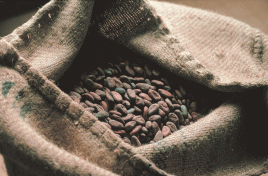 Heiß begehrt: Kakao, Fotos (2): Nestlé