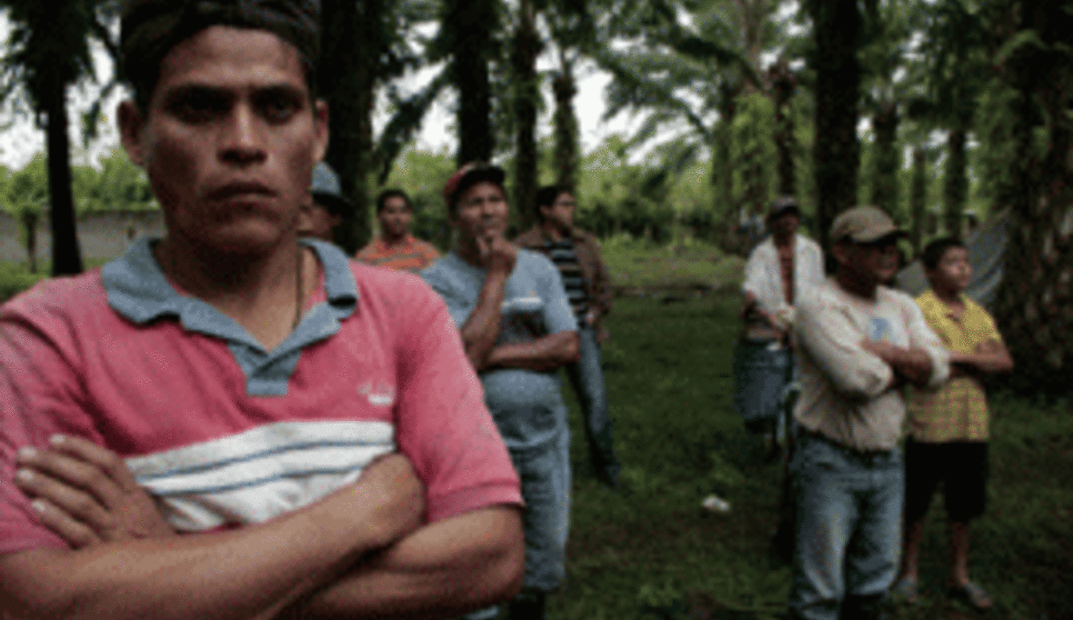 Gewalt gegen Bauerngemeinschaften in Honduras