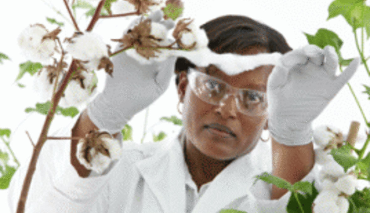 Bayer CropScience setzt auf nachhaltiges Wachstum