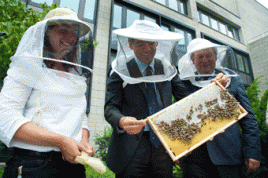 Hauseigene Honigproduktion. Foto: KfW