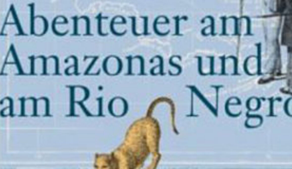 Sammler des verlorenen Schatzes