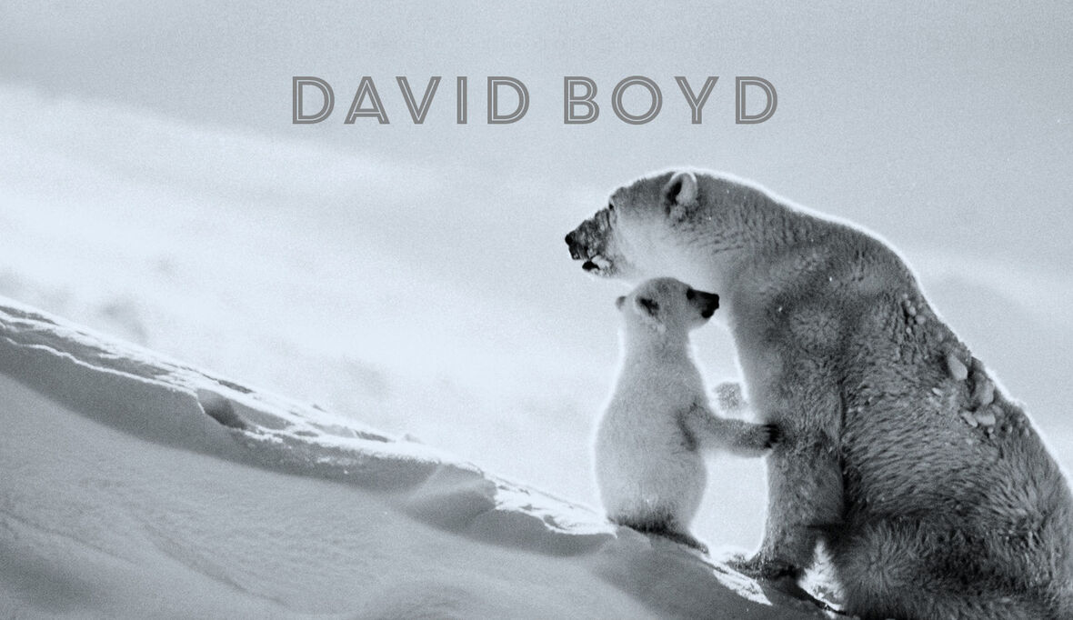 Naturrechte vs Menschenrechte?