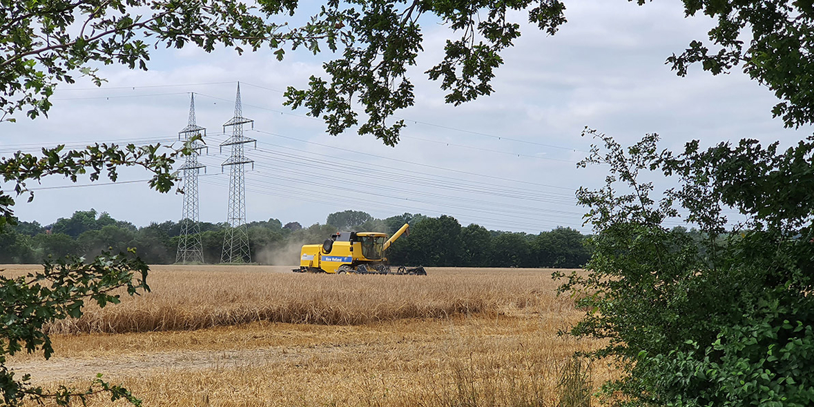 Energiewende: Infrastruktur unter der Erde, Ernte-Erträge über der Erde