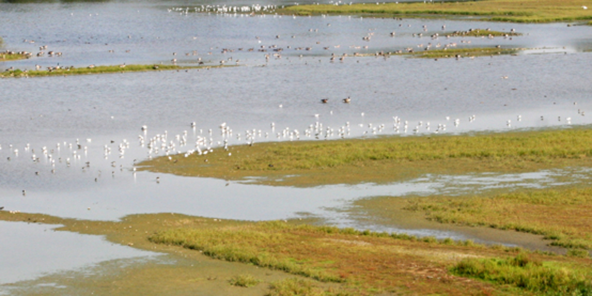 Klimaversicherungen als Schutz gegen Armut