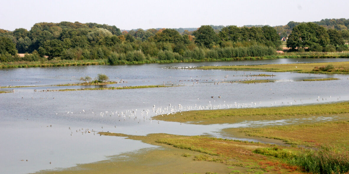 Planetare Grenzen lokal umsetzen: Neues Framework macht Wassermanagement messbar