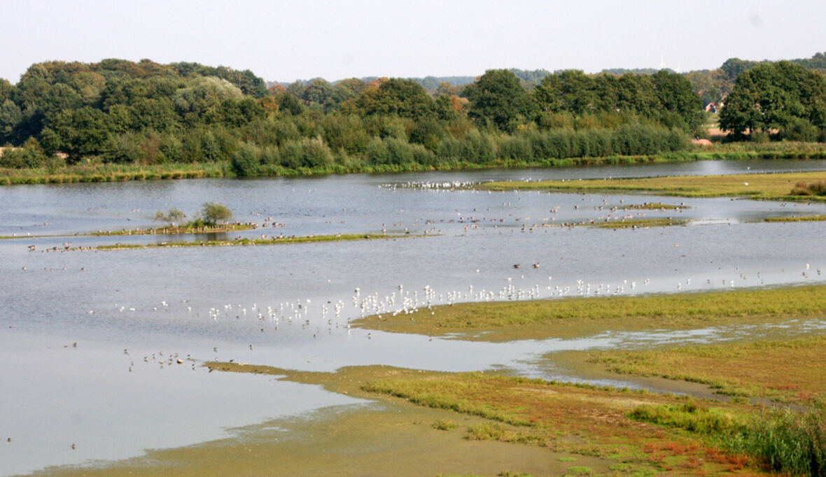 Planetare Grenzen lokal umsetzen: Neues Framework macht Wassermanagement messbar