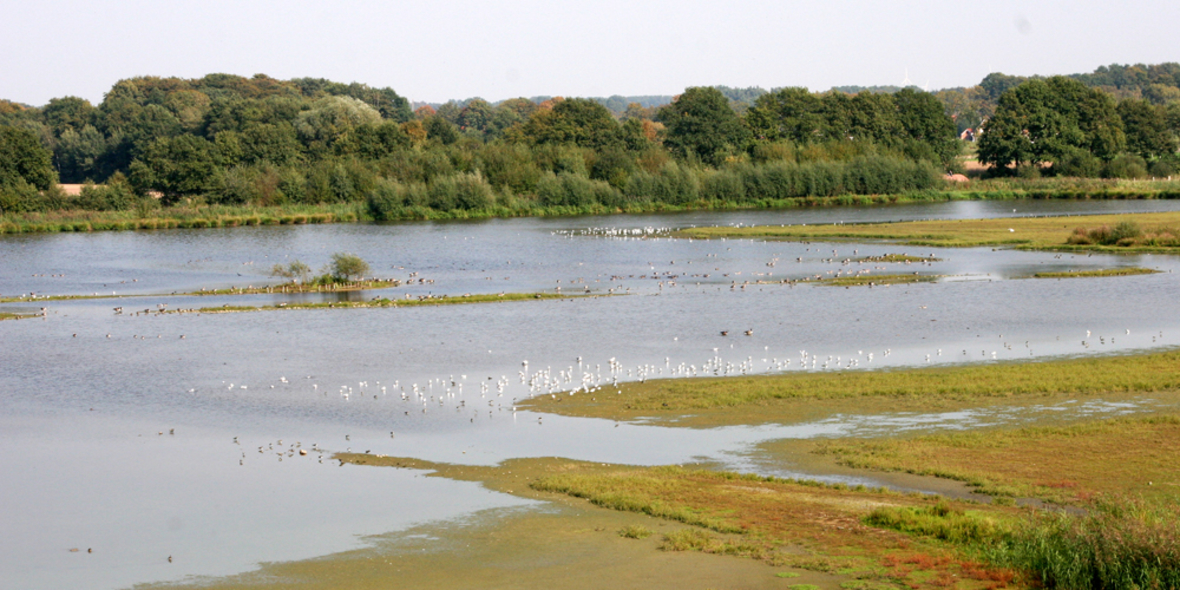 RWE investiert in wirksamen Vogelschutz