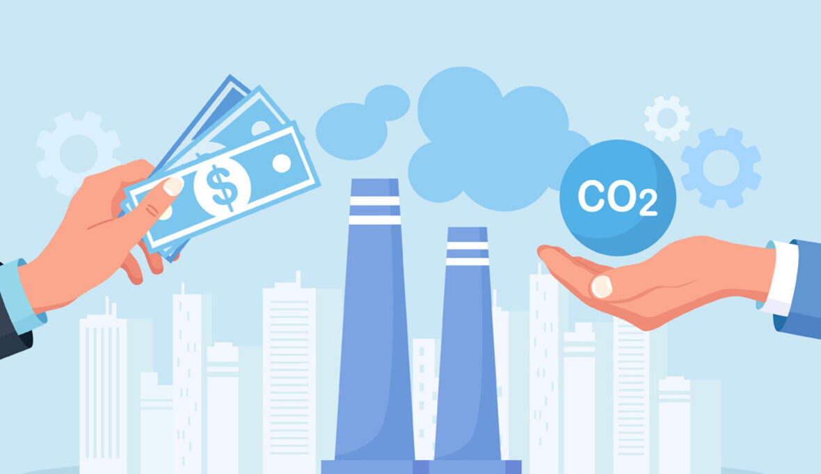 Wie Europa auch CO₂-Entnahmen in seinem Emissionshandel steuern kann