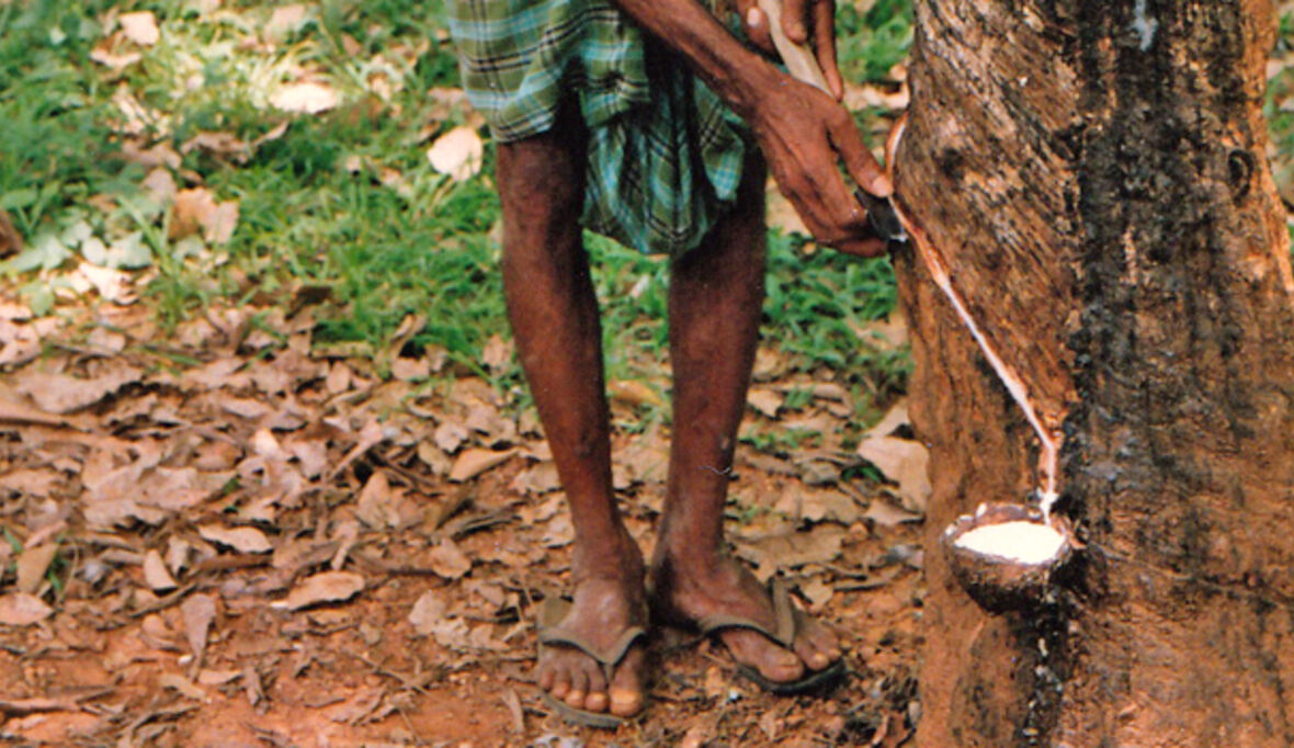 Studie zu Arbeitsbedingungen bei der Gummiproduktion
