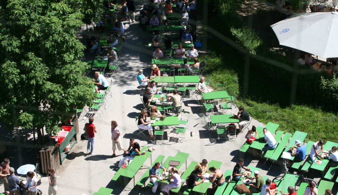 Urban forestry - Der Wald in der Stadt