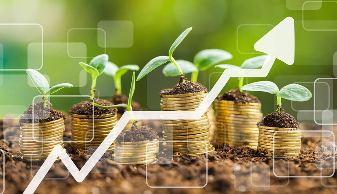 Grüne Bonds als Katalysator für die grüne Transformation?