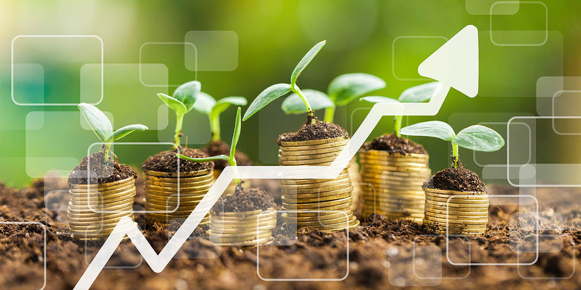 Grüne Bonds als Katalysator für die grüne Transformation?