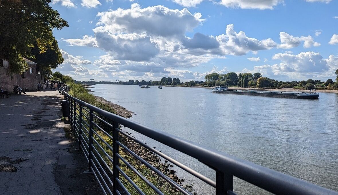 Wassermangel in Deutschlands Flüssen: „Wir können Niedrigwasser nicht einfach wegbaggern“