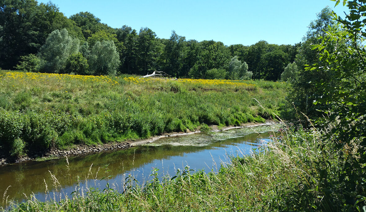 Deutschland und Polen vertiefen Kooperation in Umweltfragen