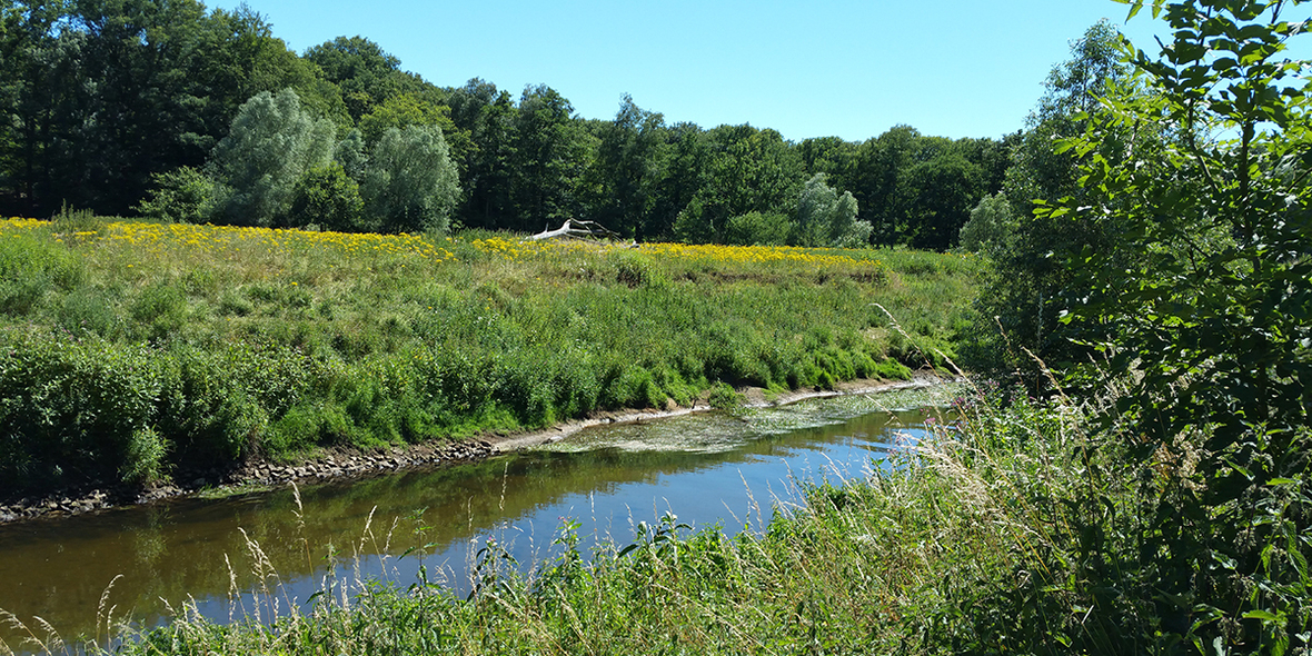 Deutschland und Polen vertiefen Kooperation in Umweltfragen