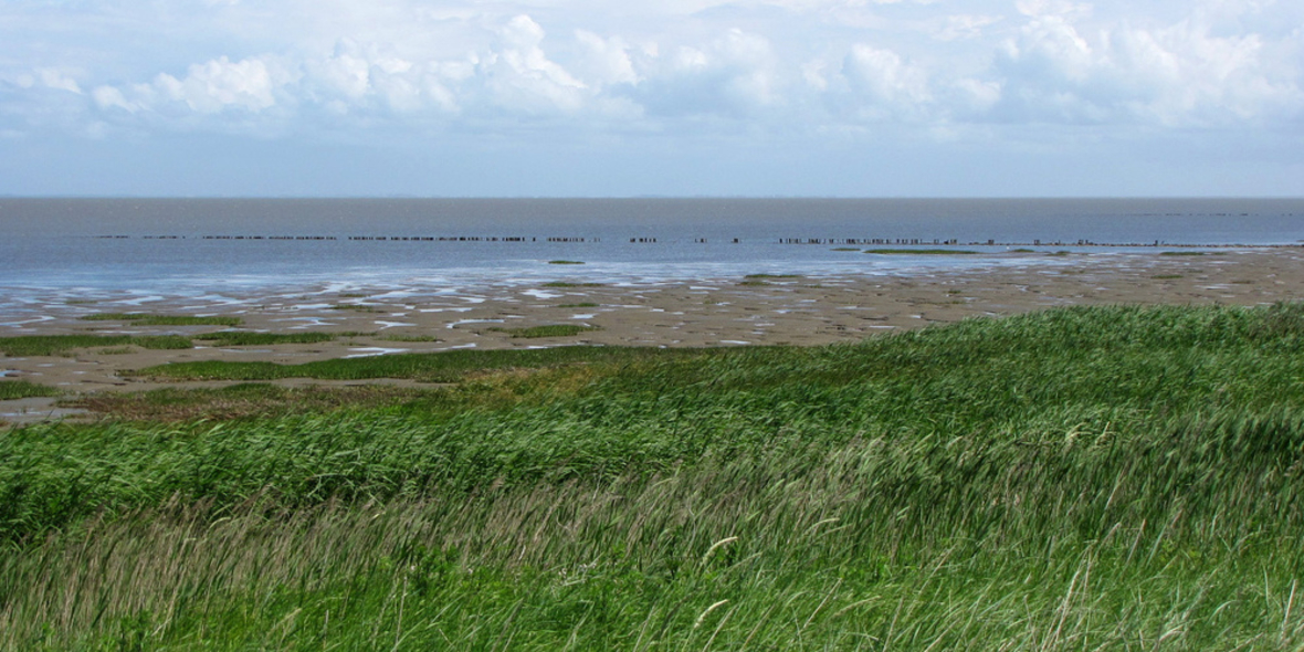 KlimaInsel Juist für Nachhaltigkeits-Engagement ausgezeichnet