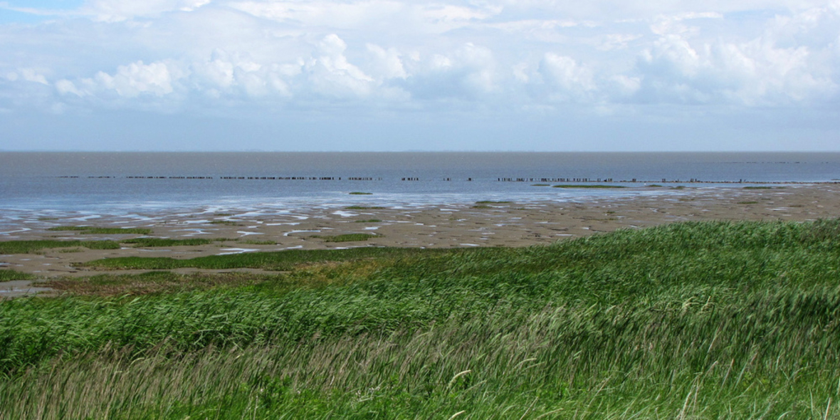 Schutz der Meere - Regierung muss nachbessern
