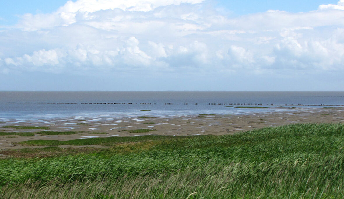 Neue Studie zeigt: Zu wenig Sandablagerungen im deutschen Wattenmeer