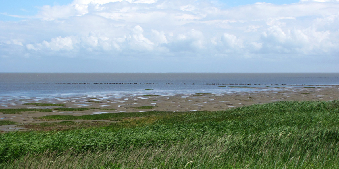Deutschlands Meeresschutz am Ende?
