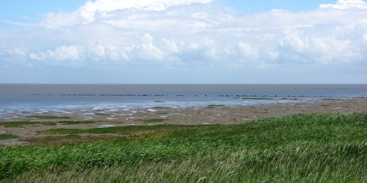 Neue Studie zeigt: Zu wenig Sandablagerungen im deutschen Wattenmeer